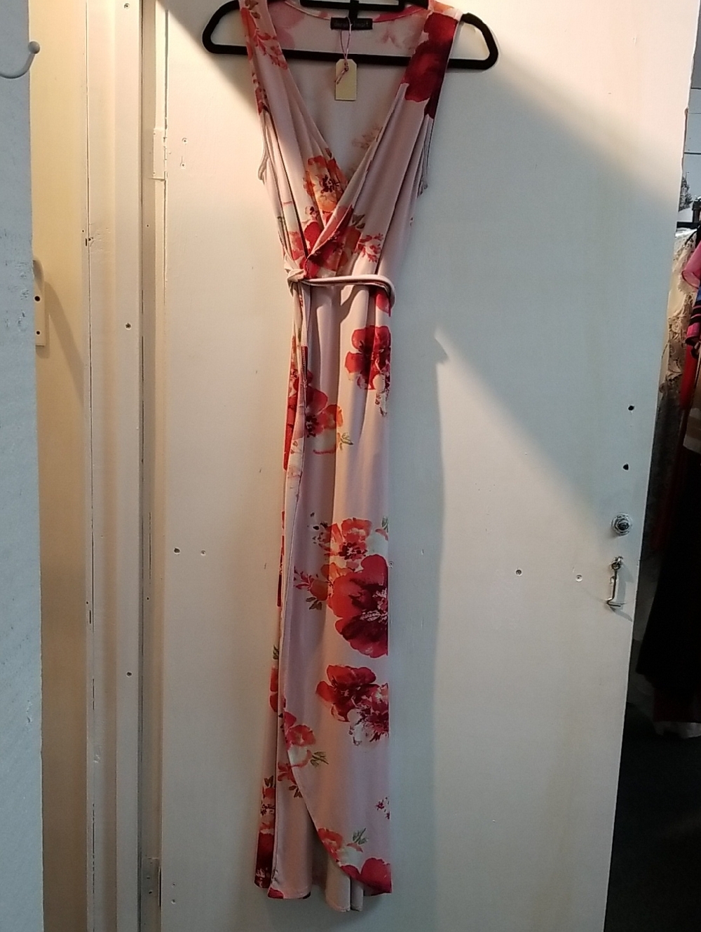 Derek Heart Blush Maxi Dress with Red Floral Print